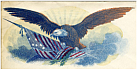 Civil War Eagle