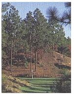 A golf view in Pinehurst.